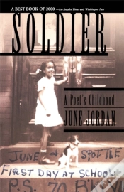 Capa do artigo Soldier