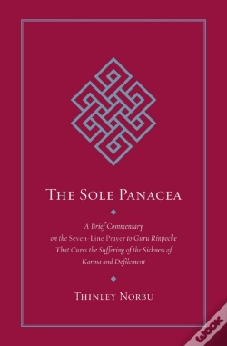 Capa do artigo Sole Panacea