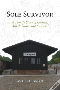 Capa do artigo Sole Survivor