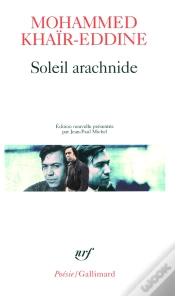 Capa do artigo Soleil Arachnide