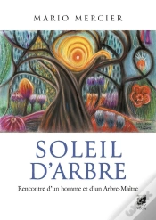 Capa do artigo Soleil D