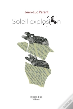 Capa do artigo Soleil Explosion