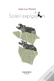 Capa do artigo Soleil Explosion