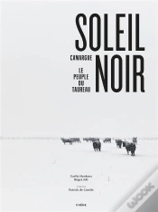 Capa do artigo Soleil Noir
