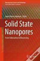 Solid State Nanopores