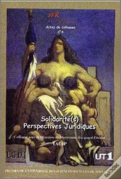 Capa do artigo Solidarité(S) ; Perspectives Juridiques T.6