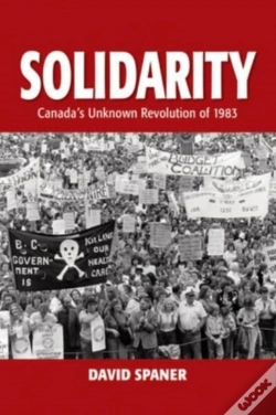 Capa do artigo Solidarity