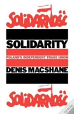 Capa do artigo Solidarity