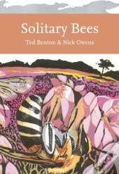 Solitary Bees