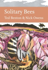 Solitary Bees