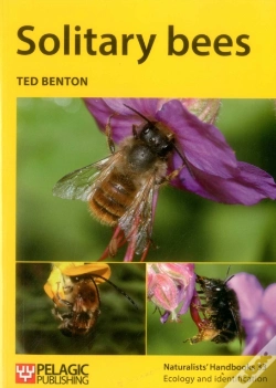 Capa do artigo Solitary Bees