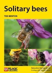 Solitary Bees
