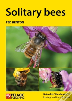Capa do artigo Solitary Bees