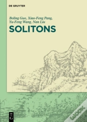 Capa do artigo Solitons