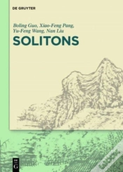 Capa do artigo Solitons