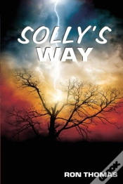 Capa do artigo Solly