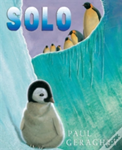 Capa do artigo Solo