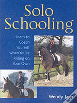 Capa do artigo Solo Schooling
