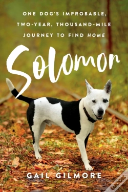 Capa do artigo Solomon