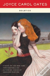 Capa do artigo Solstice