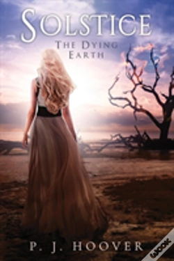 Capa do artigo Solstice