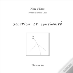 Capa do artigo Solution De Continuité