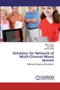 Solutions For Network Of Multi-Channel Mixed Queues - Preview