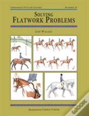 Capa do artigo Solving Flatwork Problems