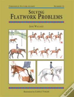 Capa do artigo Solving Flatwork Problems