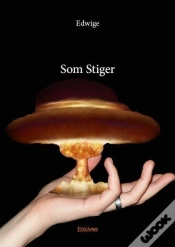 Capa do artigo Som Stiger