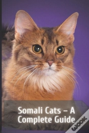 Capa do artigo Somali Cats - A Complete Guide