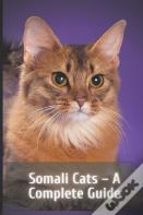 Somali Cats - A Complete Guide