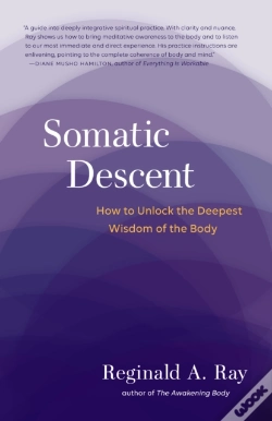 Capa do artigo Somatic Descent