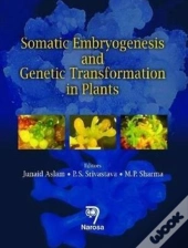 Somatic Embryogenesis And Genetic Transformation In Plants