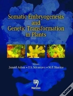 Capa do artigo Somatic Embryogenesis And Genetic Transformation In Plants