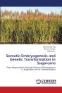 Somatic Embryogenesis And Genetic Transformation In Sugarcane - Preview