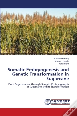 Capa do artigo Somatic Embryogenesis And Genetic Transformation In Sugarcane