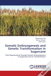 Capa do artigo Somatic Embryogenesis And Genetic Transformation In Sugarcane
