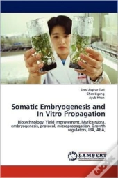 Somatic Embryogenesis And In Vitro Propagation