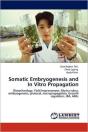 Somatic Embryogenesis And In Vitro Propagation - Preview