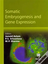 Somatic Embryogenesis & Gene Expression