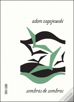 Capa do artigo Sombras de Sombras