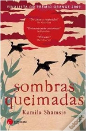 Capa do artigo Sombras Queimadas