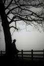 Sombras Sobre El Lago - Preview