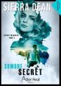Sombre Secret Tome 3 ; Secret Mcqueen - Preview