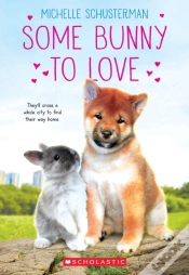 Capa do artigo Some Bunny To Love