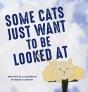 Some Cats Just Want To Be Looked At - Preview