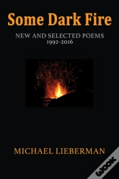 Capa do artigo Some Dark Fire