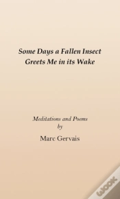 Capa do artigo Some Days A Fallen Insect Greets Me In I