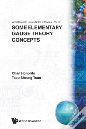 Capa do artigo Some Elementary Gauge Theory Concepts